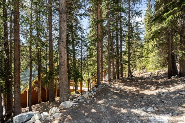 38 Brook Drive, Idaho Springs, CO 80452