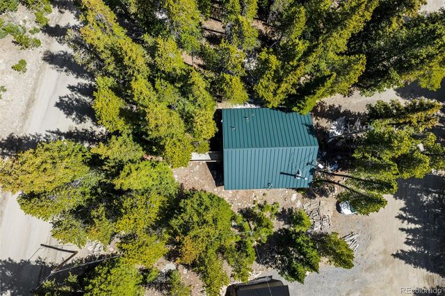 38 Brook Drive, Idaho Springs, CO 80452