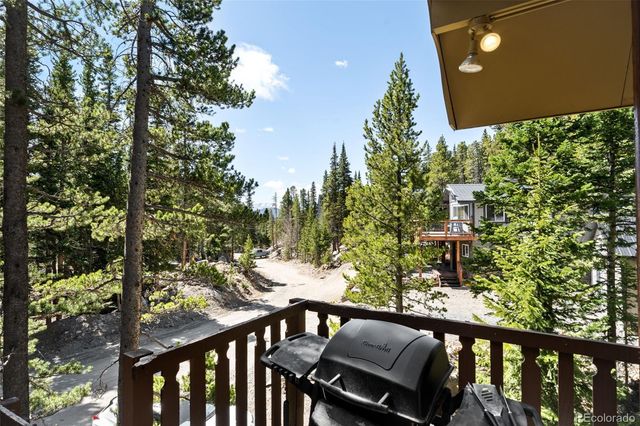 38 Brook Drive, Idaho Springs, CO 80452