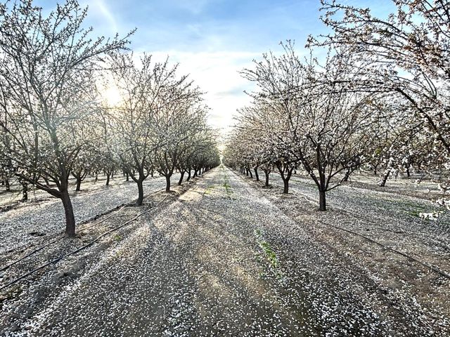 16722 Rd 18, Madera, CA 93637