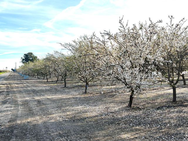 16722 Rd 18, Madera, CA 93637