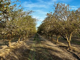 16722 Rd 18, Madera, CA 93637