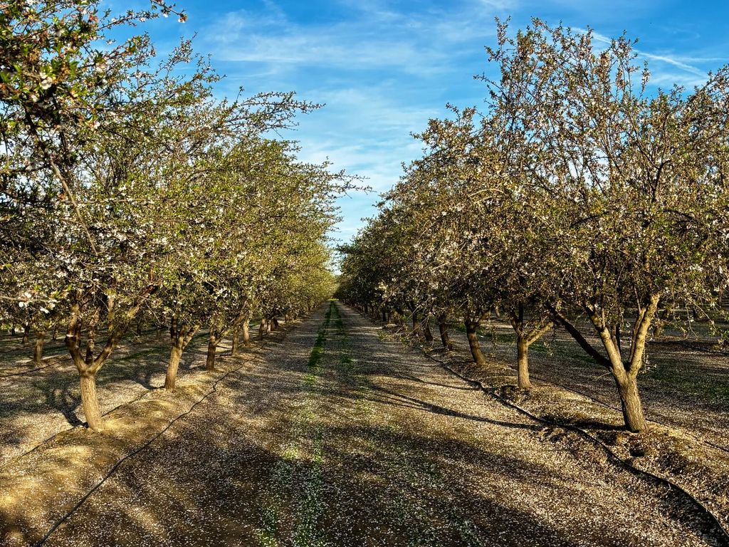 16722 Rd 18, Madera, CA 93637