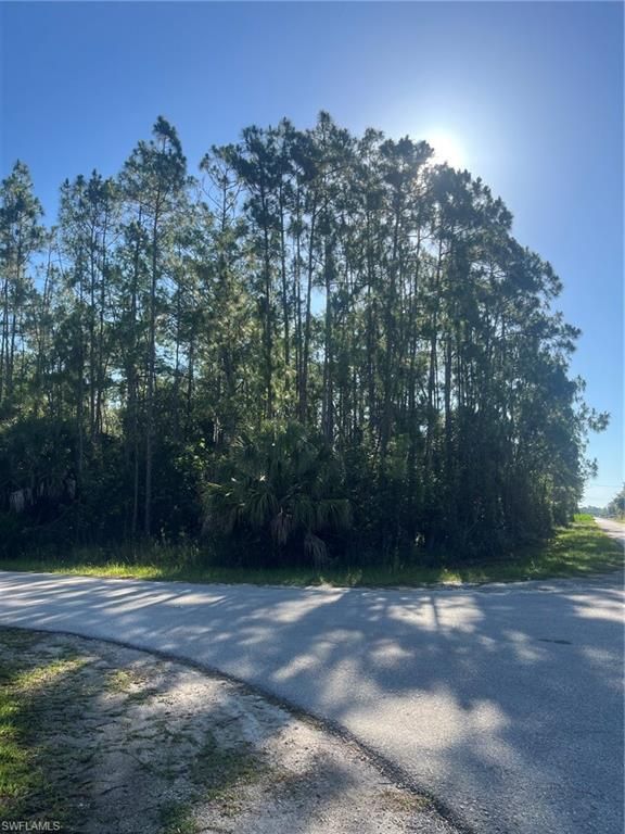 190 Ocean Park DR, LEHIGH ACRES, FL 33972 — photo 3