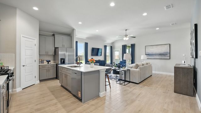 11216 TREEHOUSE Trail, Justin, TX 76247