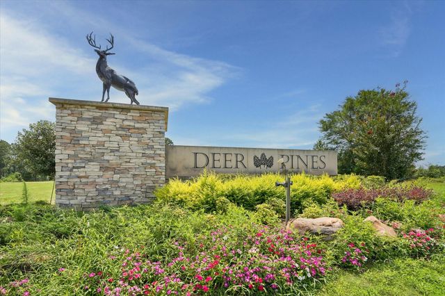 16711 Rockwall Street, Conroe, TX 77303