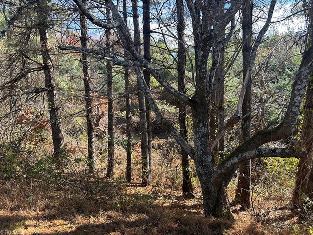 195 Old Barrett Road, Ennice, NC 28623