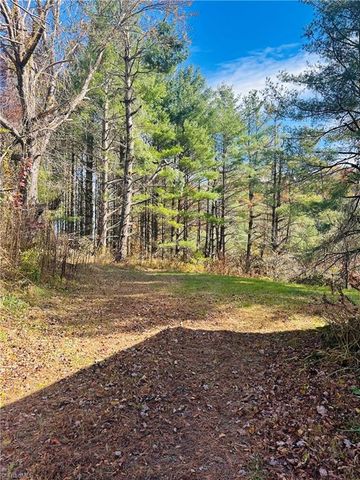 195 Old Barrett Road, Ennice, NC 28623