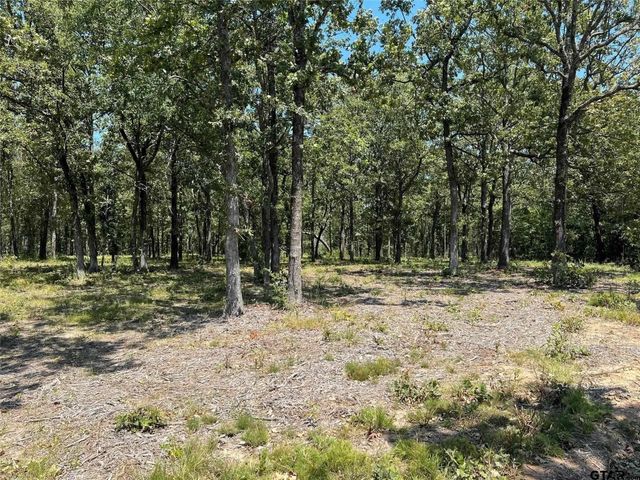 1 Angler Shores Drive, Yantis, TX 75497