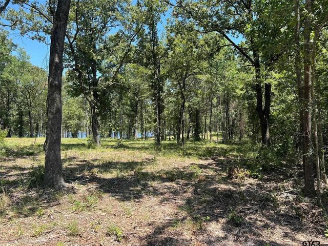 1 Angler Shores Drive, Yantis, TX 75497