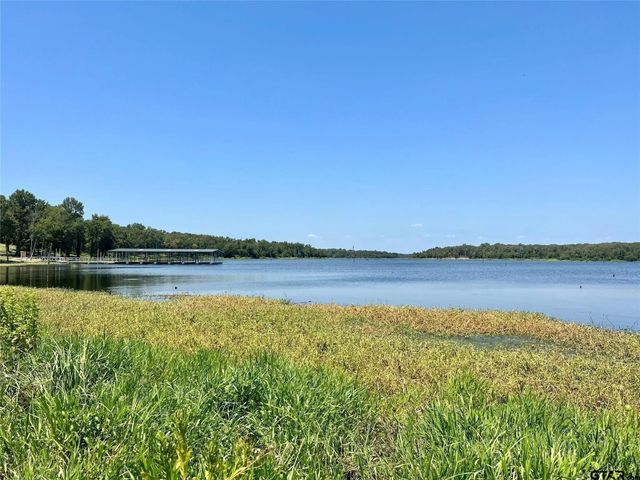 1 Angler Shores Drive, Yantis, TX 75497