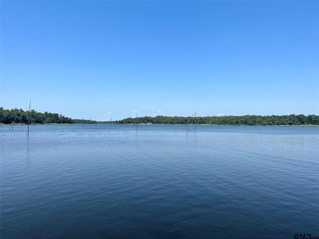 1 Angler Shores Drive, Yantis, TX 75497