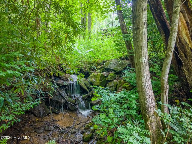 7261 Yellow Creek Road, Robbinsville, NC 28771