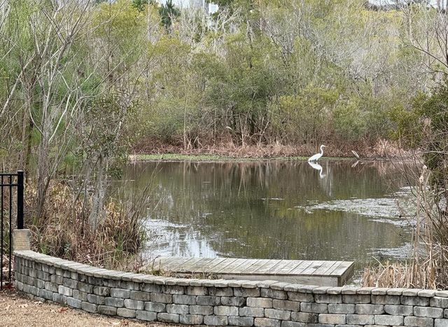 1506 Lucas Isle Court, Hanahan, SC 29410