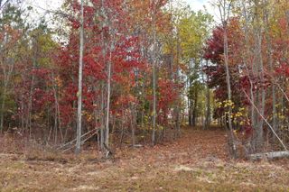 0 Crockett Point Jf291, Jasper, TN 37347