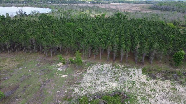 16865 SE 27TH PLACE ROAD, Ocklawaha, FL 32179