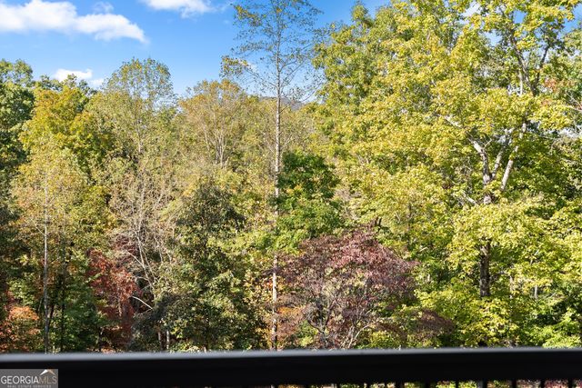 2123 Goat Neck Road, Cleveland, GA 30528