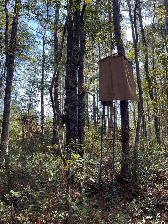 Image 34 of property listing at 9168 Old Georgetown Road, Mcclellanville, SC 29458