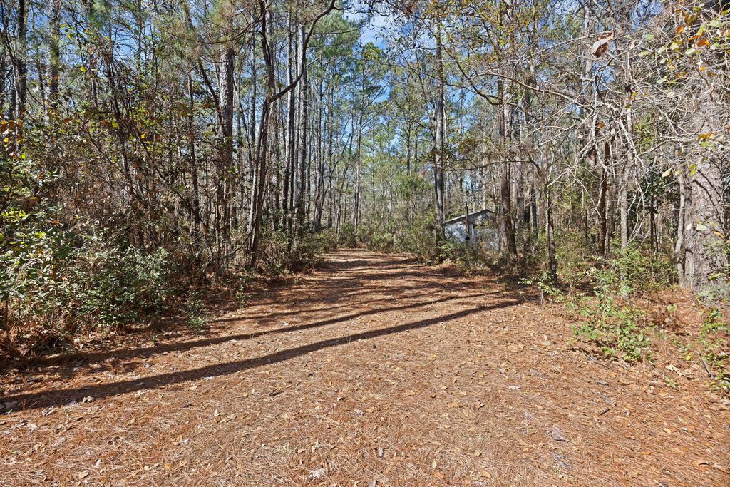 Image 6 of property listing at 9168 Old Georgetown Road, Mcclellanville, SC 29458