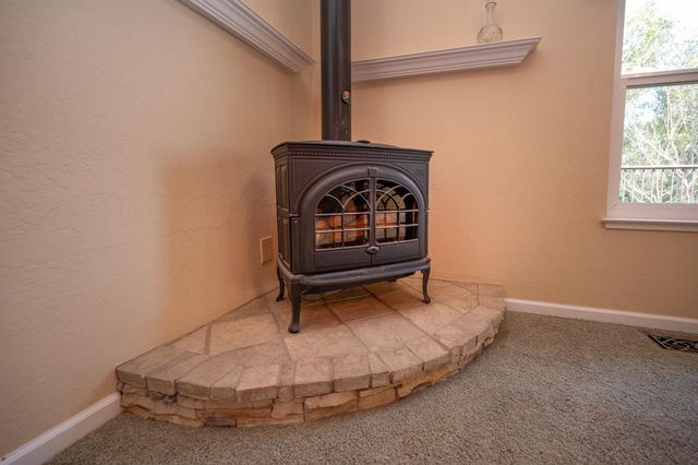 2087 American River Trl, Cool, CA 95614