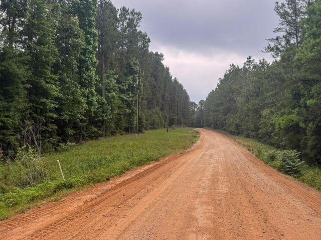 1131 Big Woods Road, New Waverly, TX 77358