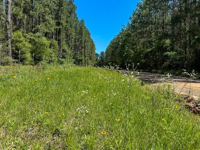 1131 Big Woods Road, New Waverly, TX 77358