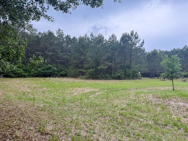1131 Big Woods Road, New Waverly, TX 77358