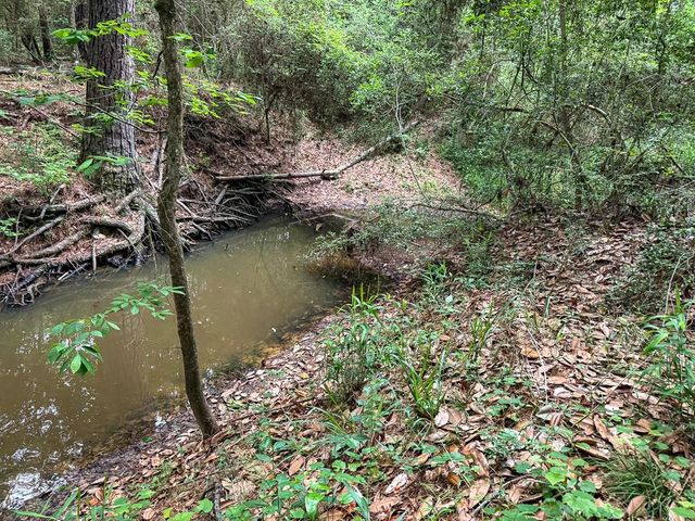 1131 Big Woods Road, New Waverly, TX 77358