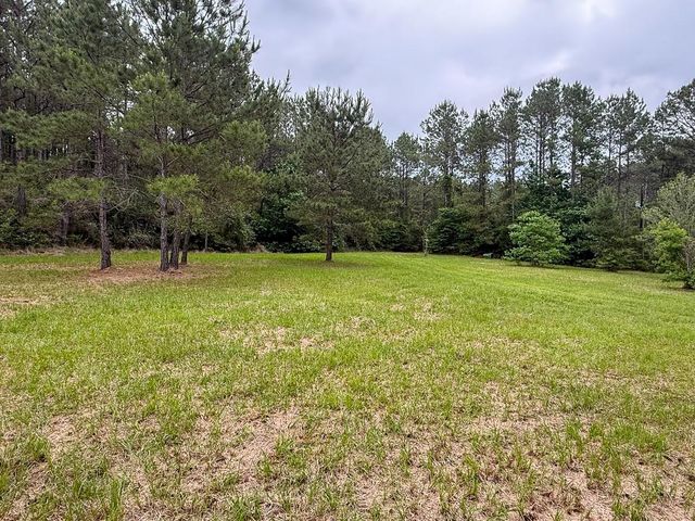 1131 Big Woods Road, New Waverly, TX 77358
