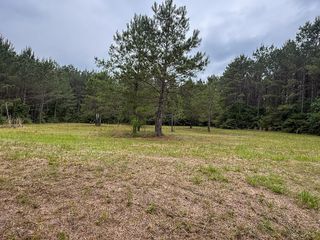 1131 Big Woods Road, New Waverly, TX 77358