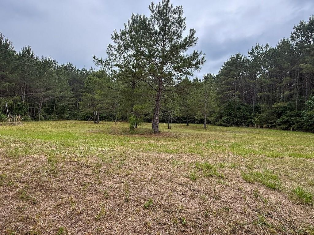 1131 Big Woods Road, New Waverly, TX 77358