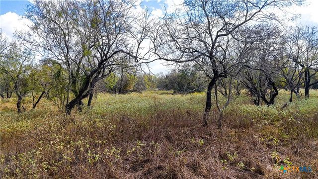 195 Cheyenne Lane, Kingsbury, TX 78638