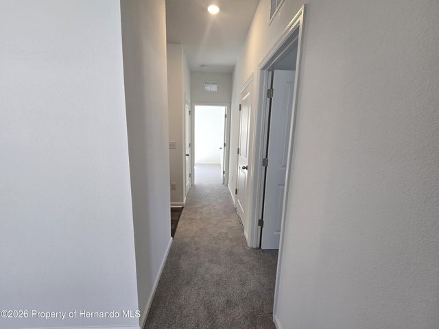 12101 Kelly Ann Loop, Brooksville, FL 34613