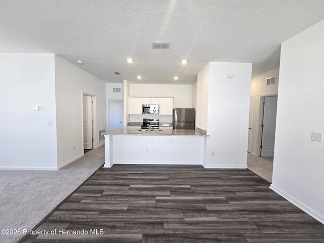 12101 Kelly Ann Loop, Brooksville, FL 34613