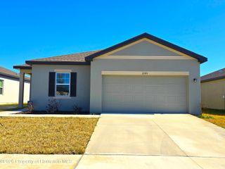 12101 Kelly Ann Loop, Brooksville, FL 34613