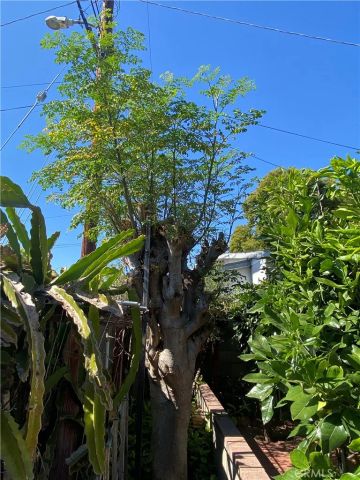 3111 Halldale Ave., Los Angeles, CA 90018