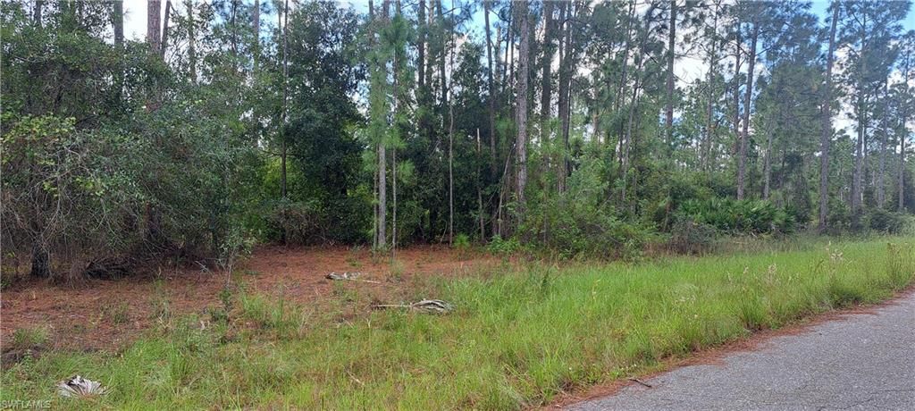 3800 13th ST E, LEHIGH ACRES, FL 33972 — photo 3