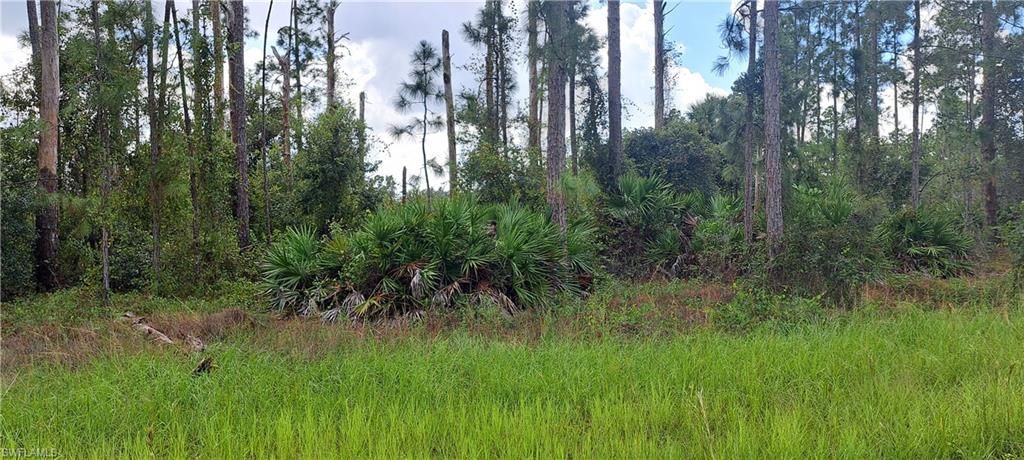 3800 13th ST E, LEHIGH ACRES, FL 33972 — photo 4