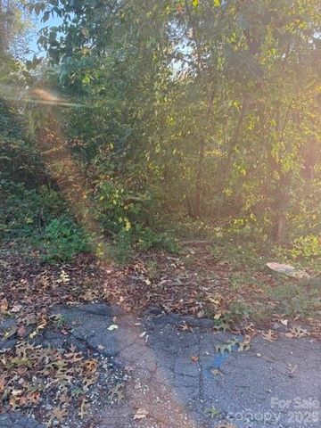 99999 Reese Street, Woodfin, NC 28804