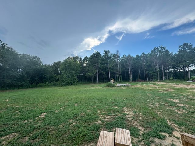 2332 Bill Davis Road, Summerton, SC 29148