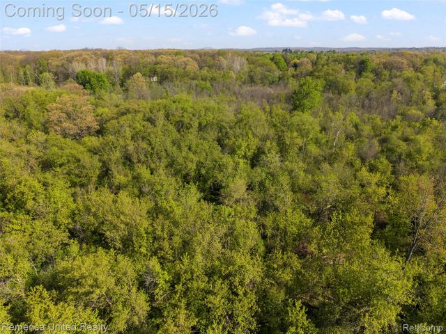 61151 Palomino Court, Lyon Charter Township, MI 48178