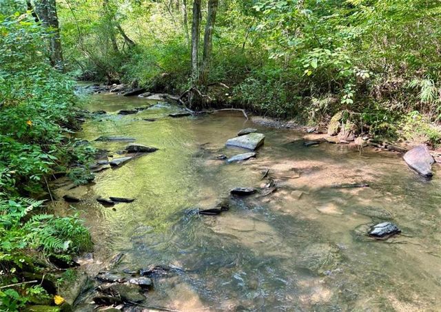 138 Rhondas Way, Ellijay, GA 30540