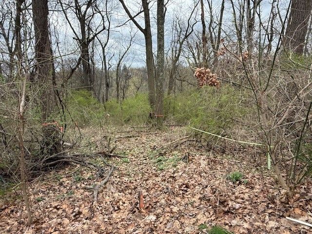 1765 Locust Rd, Franklin Park, PA 15143
