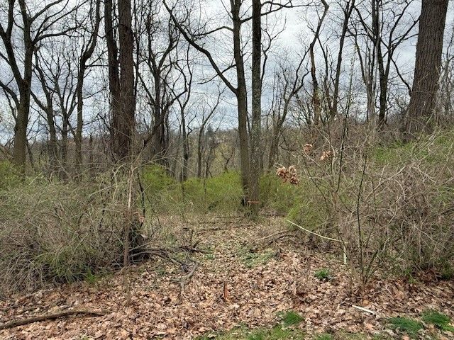 1765 Locust Rd, Franklin Park, PA 15143
