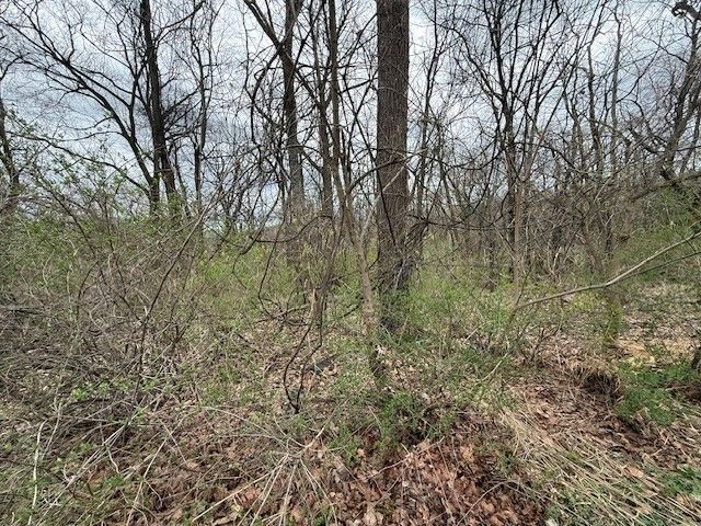1765 Locust Rd, Franklin Park, PA 15143