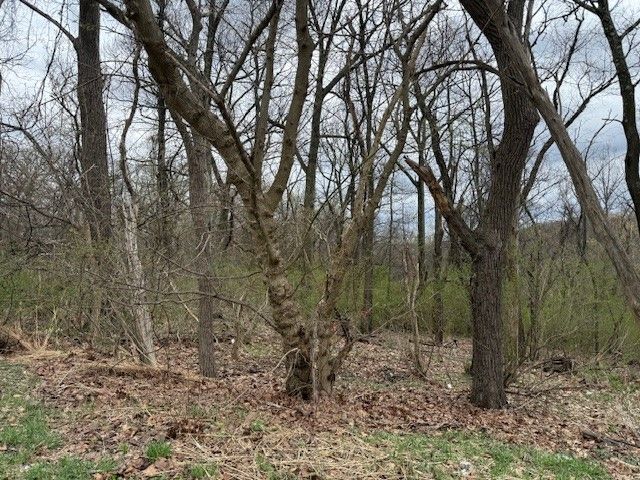 1765 Locust Rd, Franklin Park, PA 15143