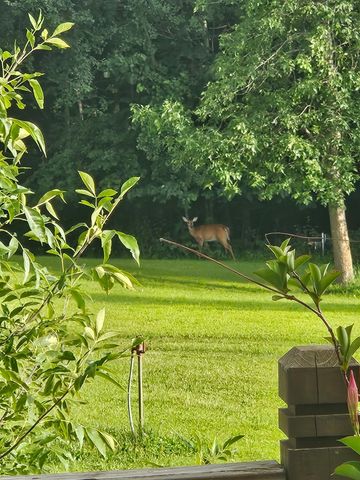 14750 Matson Road, Burlington Twp, MN 56544