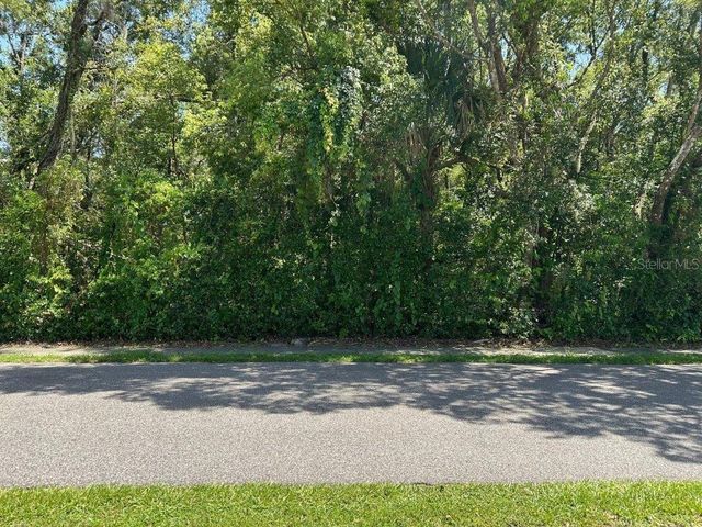 KING AVENUE, Zellwood, FL 32798