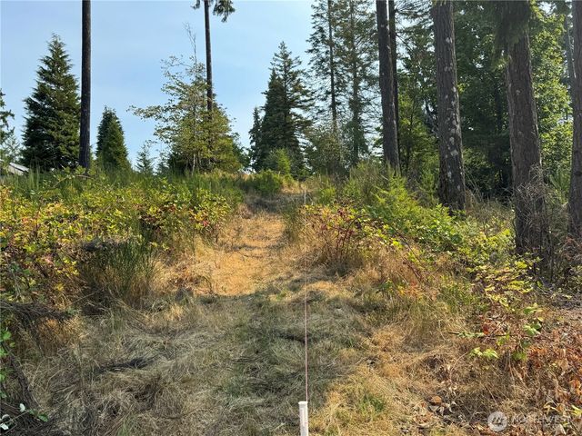 0 E Tall Timber Lane, Shelton, WA 98584