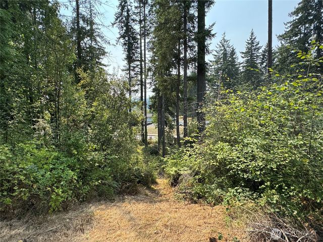 0 E Tall Timber Lane, Shelton, WA 98584